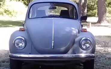 Volkswagen-beetle-1972-grey-1