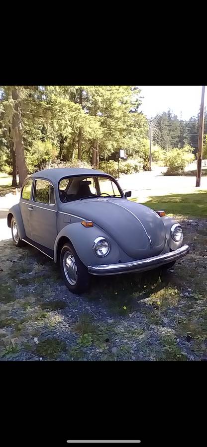 Volkswagen-beetle-1972-grey