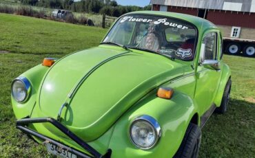Volkswagen-beetle-1973-green-1