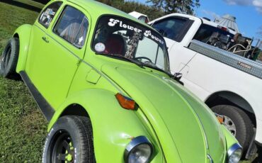 Volkswagen-beetle-1973-green