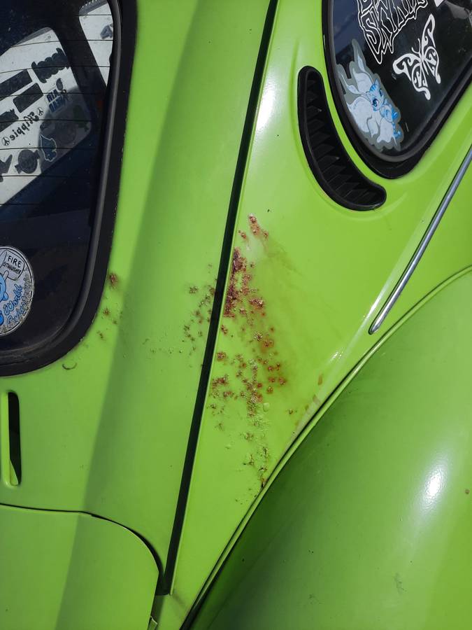 Volkswagen-beetle-1973-green-8
