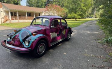 Volkswagen-beetle-1975-7