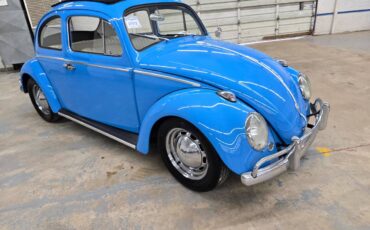 Volkswagen-bug-1960-1