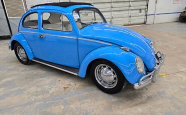Volkswagen-bug-1960