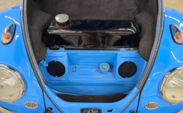 Volkswagen-bug-1960-7
