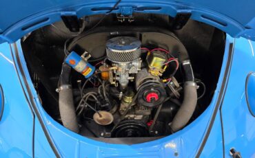 Volkswagen-bug-1960-9