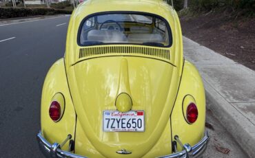 Volkswagen-bug-beetle-1963-yellow-10