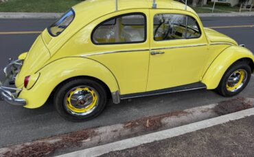 Volkswagen-bug-beetle-1963-yellow-8