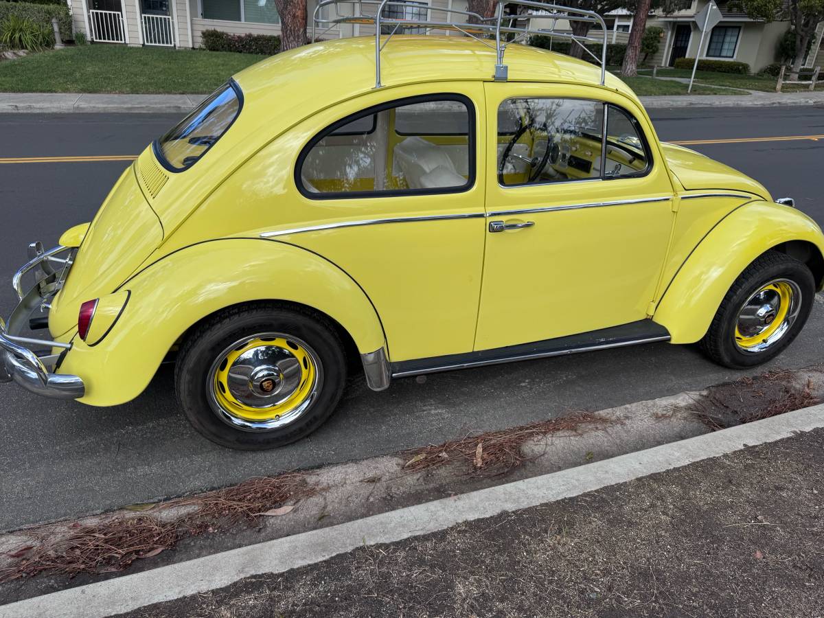 Volkswagen-bug-beetle-1963-yellow-8