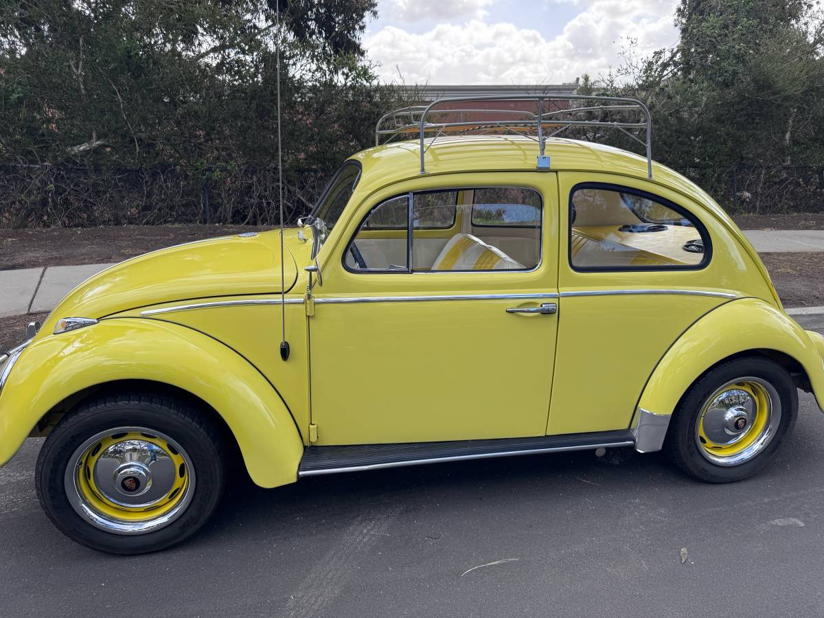 Volkswagen-bug-beetle-1963-yellow
