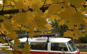 Volkswagen-bus-1977-red-1