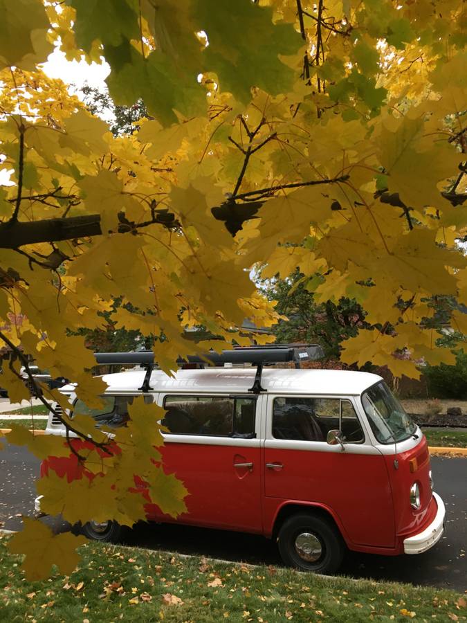 Volkswagen-bus-1977-red-1