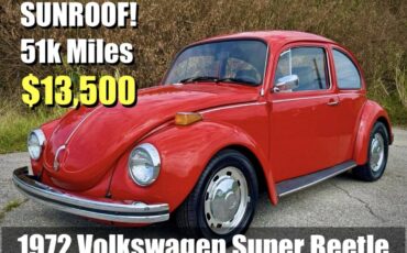 Volkswagen-super-beetle-1972-11