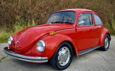 Volkswagen-super-beetle-1972-12