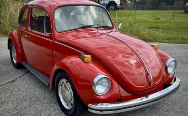 Volkswagen-super-beetle-1972-13