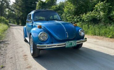 Volkswagen-super-beetle-1973-blue-3