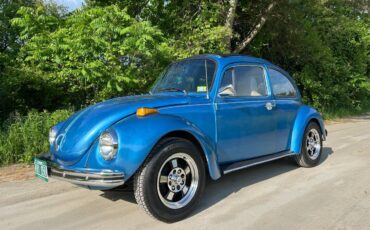 Volkswagen-super-beetle-1973-blue