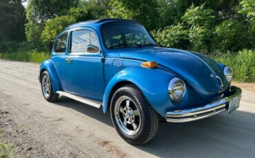 Volkswagen-super-beetle-1973-blue-9