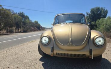 Volkswagen-super-beetle-1974-custom-5