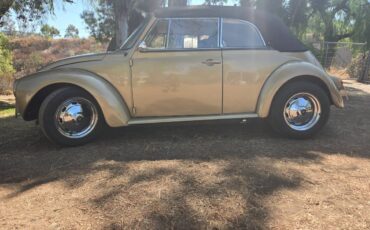 Volkswagen-super-beetle-1974-custom-6