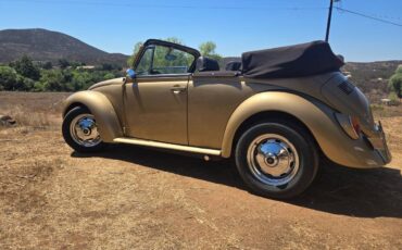Volkswagen-super-beetle-1974-custom-9