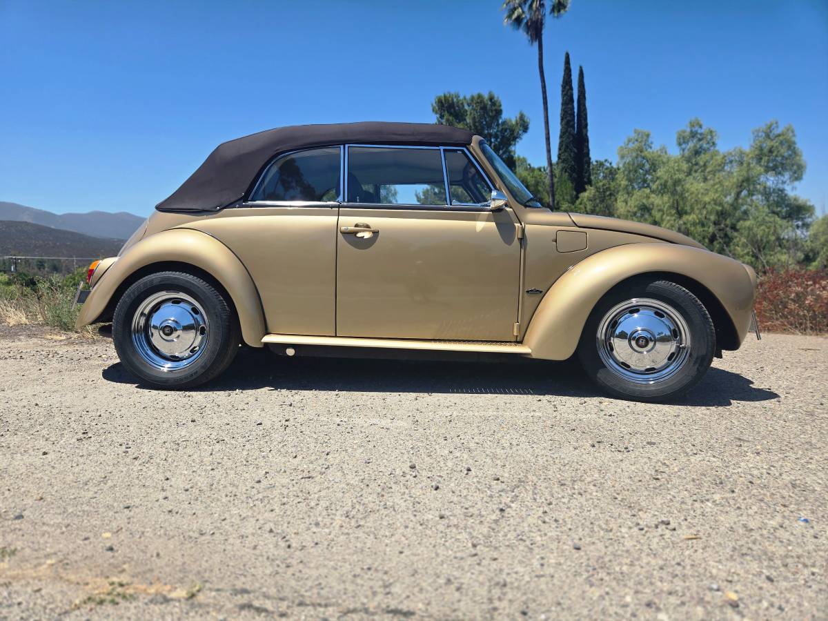 Volkswagen-super-beetle-1974-custom