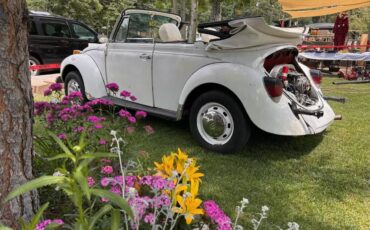 Volkswagen-super-beetle-1977-white-6