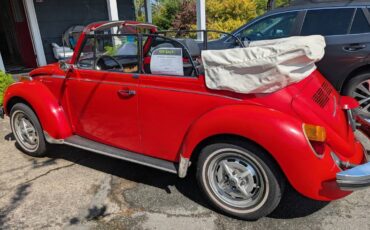 Volkswagen-super-beetle-bug-1979-red-3