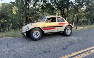 Volkswagen-superbeetle-1973