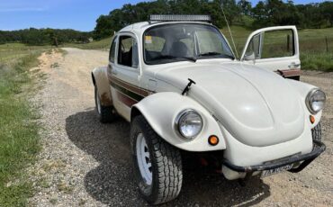 Volkswagen-superbeetle-1973-4