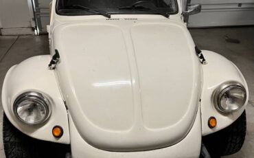 Volkswagen-superbeetle-1973-5