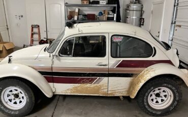 Volkswagen-superbeetle-1973-6