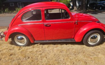 Volkswagen-type-1-beetle-1962-1