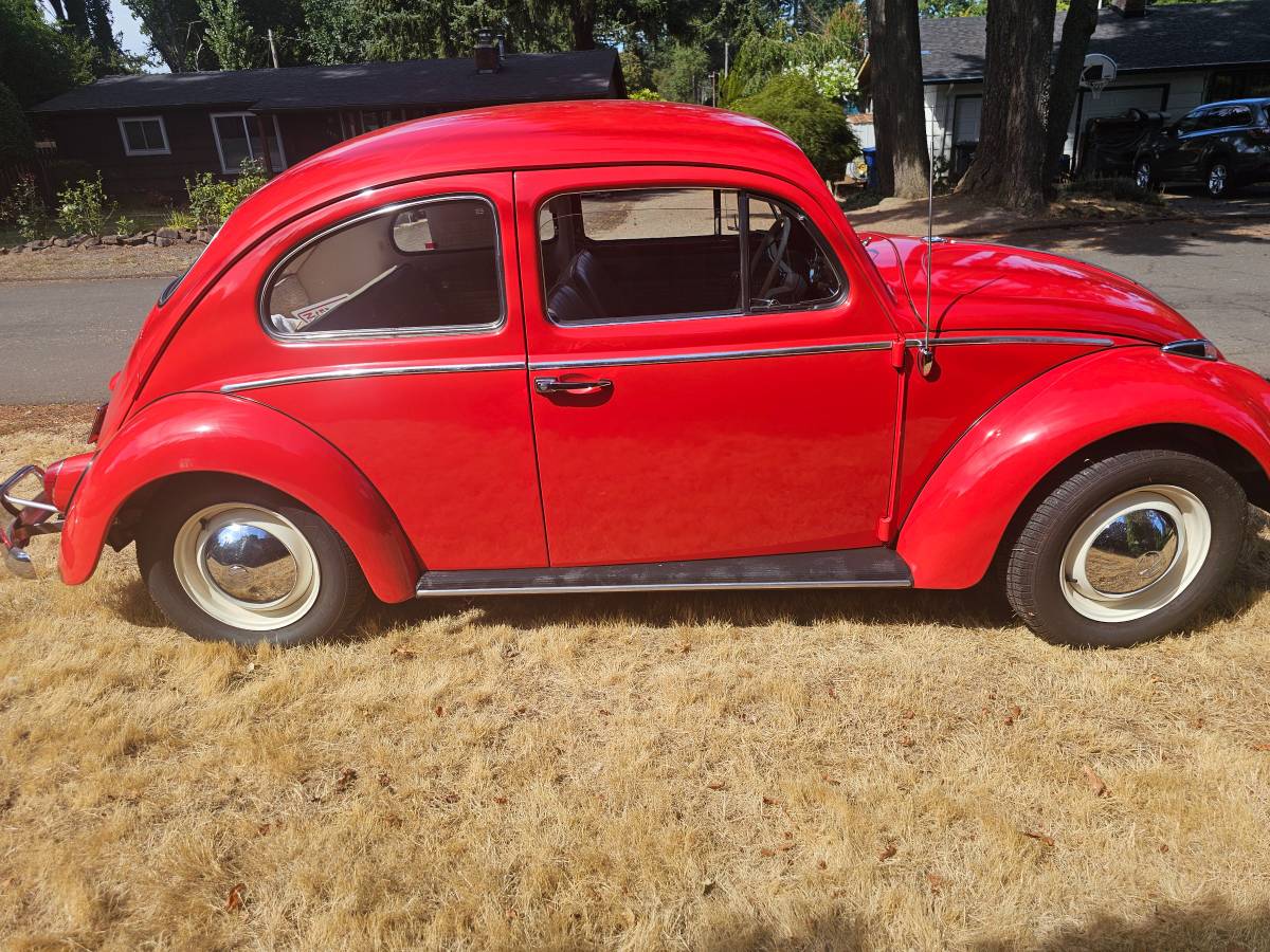 Volkswagen-type-1-beetle-1962-1