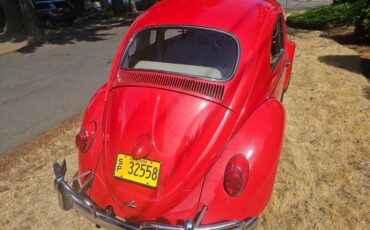 Volkswagen-type-1-beetle-1962-3