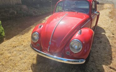 Volkswagen-type-1-beetle-1962