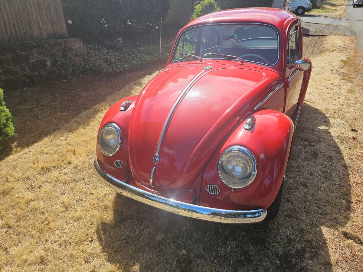 Volkswagen-type-1-beetle-1962