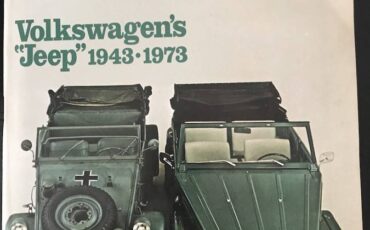Volkswagen-type-181-quotthingquot-1973-custom-9