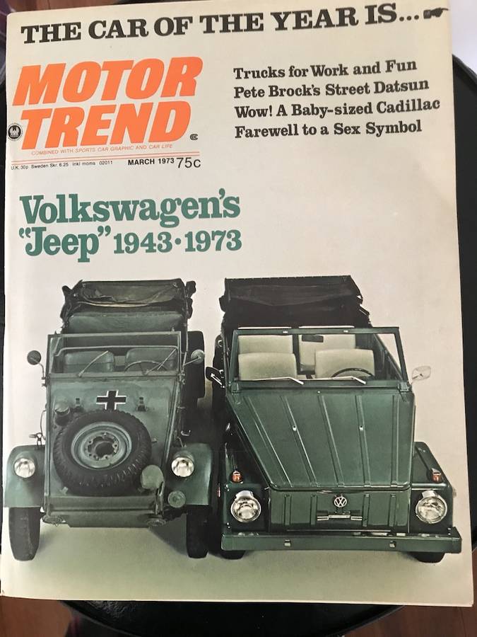 Volkswagen-type-181-quotthingquot-1973-custom-9
