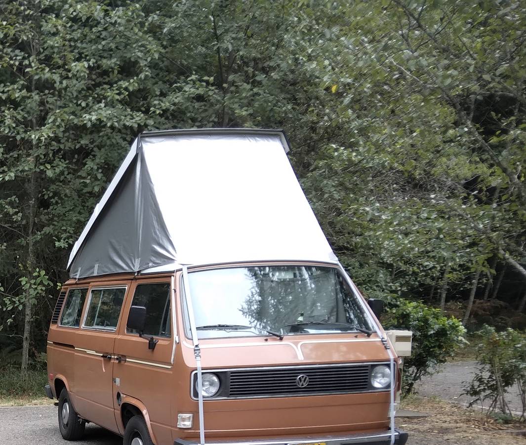 Volkswagen-vanagon-camper-1983-brown