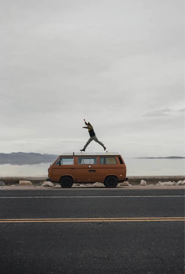 Volkswagen-vanagon-westfalia-1983-brown-8