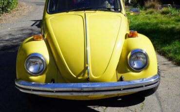 Volkswagon-beetle-1973-yellow-1