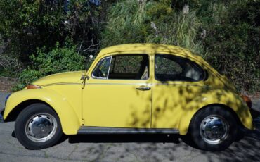 Volkswagon-beetle-1973-yellow-6