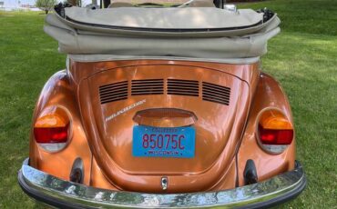 Volkswagon-beetle-1978-custom-12