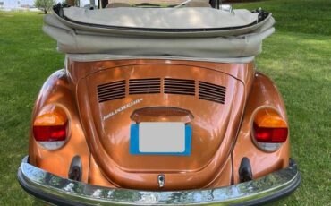 Volkswagon-beetle-1978-custom-15