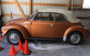 Volkswagon-beetle-1978-custom-22