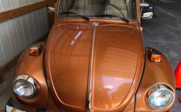 Volkswagon-beetle-1978-custom-9
