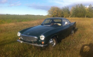 Volvo-1800s-1968-Green-Tan-8