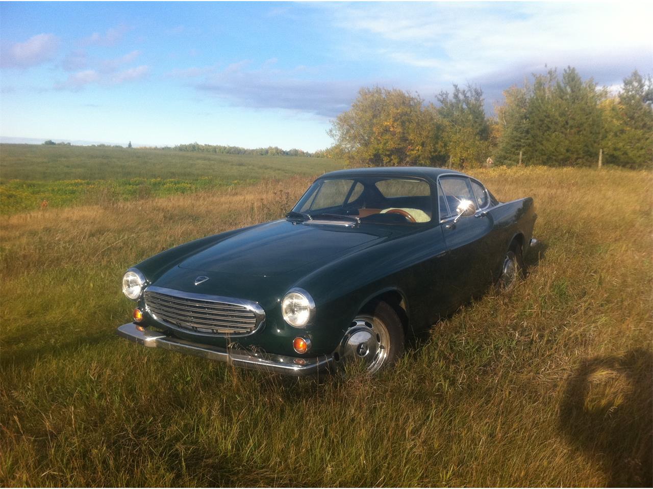 Volvo-1800s-1968-Green-Tan-8