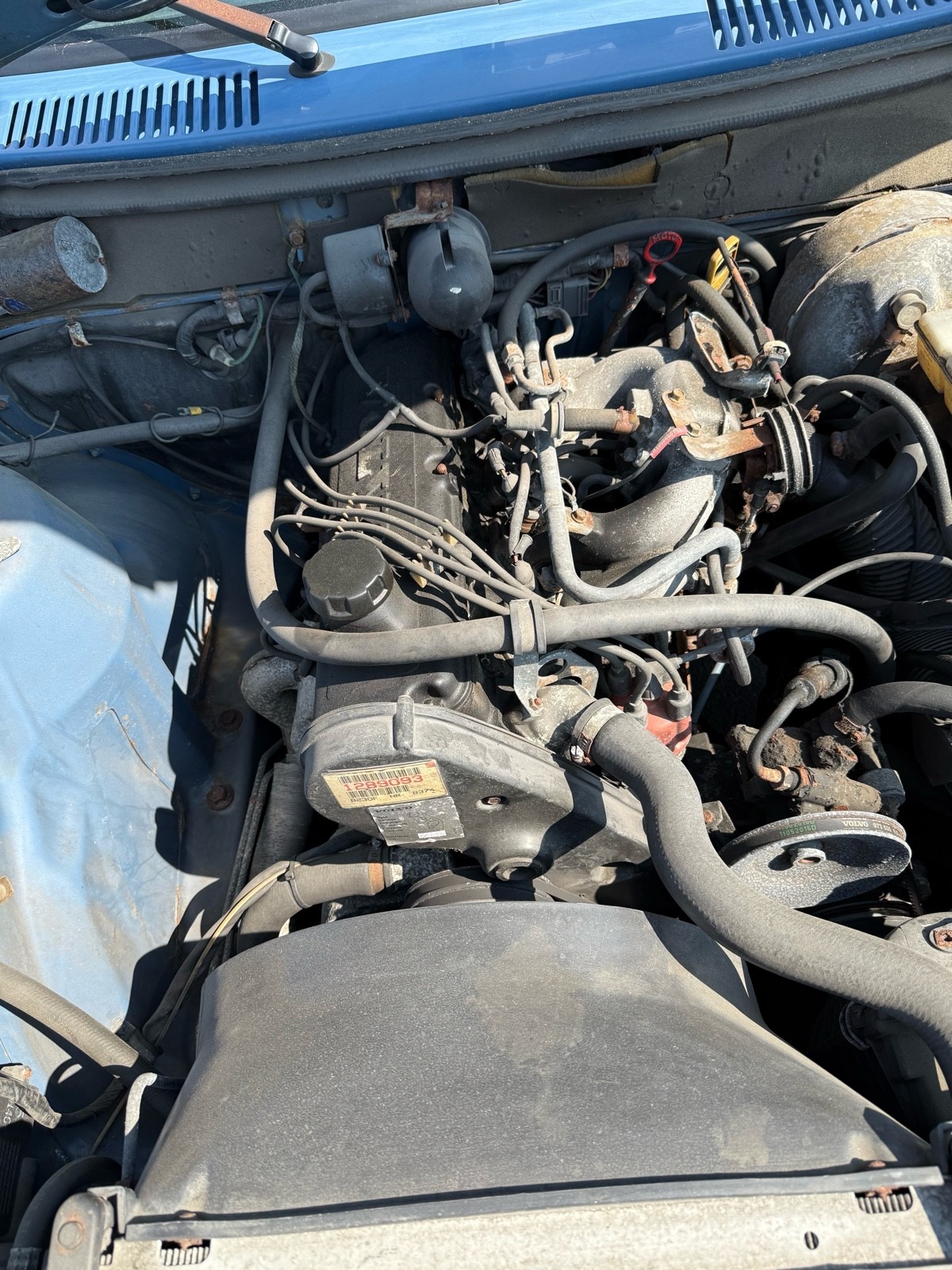 Volvo-240-1987-11
